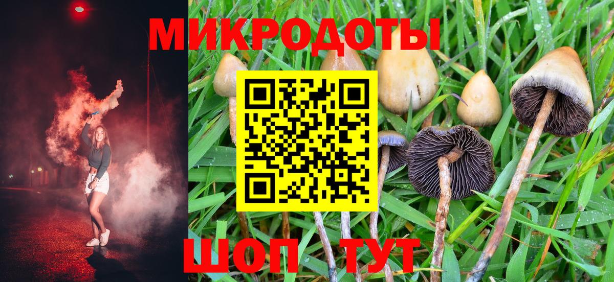 Псилоцибиновые грибы Psilocybine cubensis  Вход с VPN  купить наркотики цена  Аша 