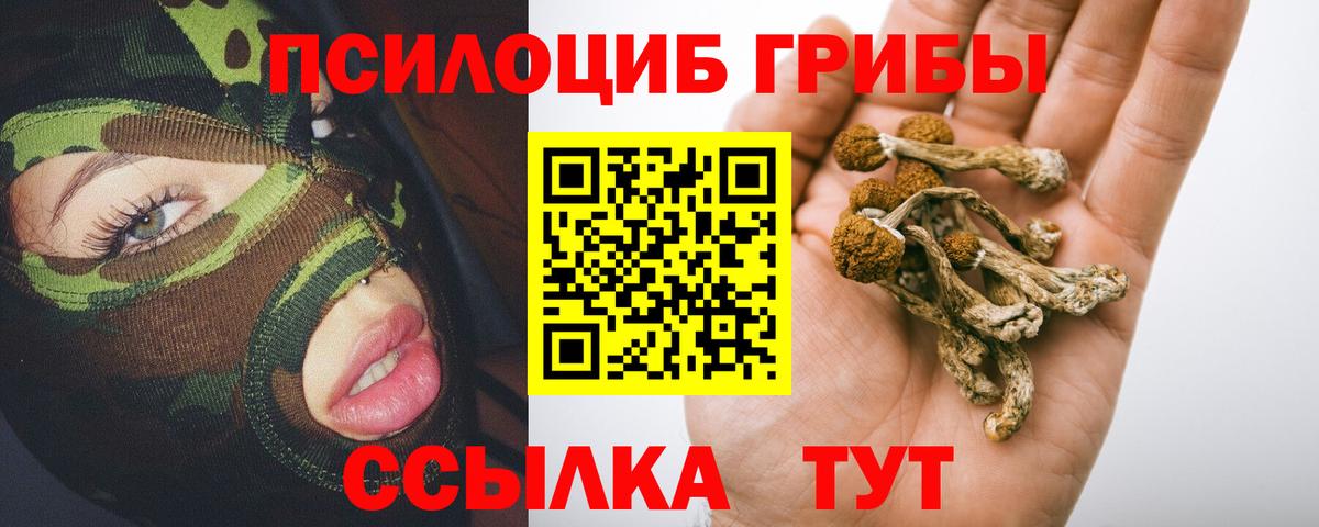 Псилоцибиновые грибы Psilocybine cubensis Аша